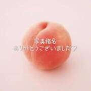 ヒメ日記 2026/06/03 20:08 投稿 ももか♡業界未経験♡イチャイチャ大好き♡ ぴゅあぱい＆ぷりてぃ♡ぴゅあグループ誠実すぎる風俗♡返金保証店♡八代宇土