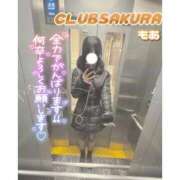 ヒメ日記 2025/12/25 12:24 投稿 もあ 奥さまさくら京橋店