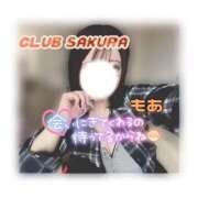 ヒメ日記 2026/01/08 11:14 投稿 もあ 奥さまさくら京橋店