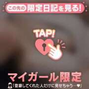 ヒメ日記 2025/12/17 02:16 投稿 シロハ エピソード(品川)