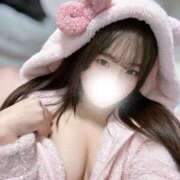 ヒメ日記 2026/01/21 06:31 投稿 シロハ エピソード(品川)