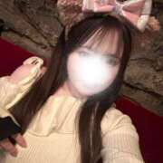 ヒメ日記 2026/01/23 20:02 投稿 シロハ エピソード(品川)