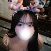 ヒメ日記 2026/01/26 00:46 投稿 シロハ エピソード(品川)