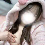 ヒメ日記 2026/02/08 18:01 投稿 シロハ エピソード(品川)