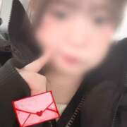 ヒメ日記 2026/02/16 15:31 投稿 シロハ エピソード(品川)