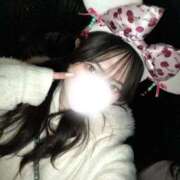 ヒメ日記 2026/03/04 17:31 投稿 シロハ エピソード(品川)