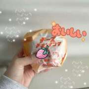 シロハ ご報告 エピソード(品川)