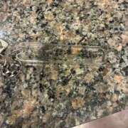 ヒメ日記 2026/02/10 17:22 投稿 ひまり 大塚デリヘル倶楽部