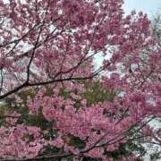 ヒメ日記 2026/04/01 21:57 投稿 ひまり 大塚デリヘル倶楽部