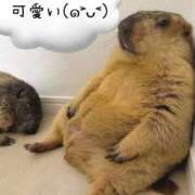 ヒメ日記 2026/04/15 23:26 投稿 ひまり 大塚デリヘル倶楽部