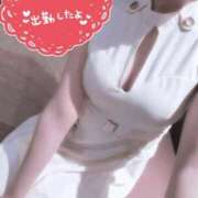 ヒメ日記 2026/03/02 13:53 投稿 ヒナミ MEGA PALACE(メガパレス）