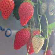 ヒメ日記 2026/02/14 21:02 投稿 はづき 大塚デリヘル倶楽部