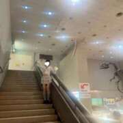 ヒメ日記 2026/05/03 14:46 投稿 香椎いろは ニューハーフヘルスLIBE大阪梅田店