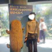 ヒメ日記 2026/05/11 16:56 投稿 香椎いろは ニューハーフヘルスLIBE大阪梅田店