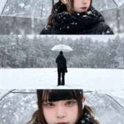 ヒメ日記 2025/12/14 05:00 投稿 やよい 黒い金魚（札幌）