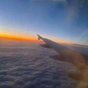 ヒメ日記 2026/02/06 00:50 投稿 やよい 黒い金魚（札幌）