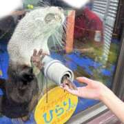 ヒメ日記 2025/12/12 13:12 投稿 みう 女の子がセルフで撮影する店！！成田デリヘル『生パネル』伝説