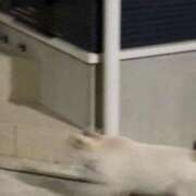 ヒメ日記 2026/02/13 11:57 投稿 まいみ 池袋サンキュー