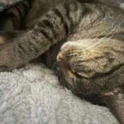 かのこ .  ̫.)" 水戸ソープランド　水戸スリーナイン(9990)