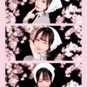 ヒメ日記 2026/03/26 12:16 投稿 えみり☆ 粋美　suibi