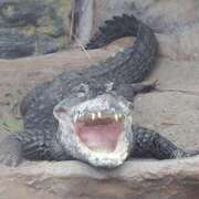 ヒメ日記 2026/03/25 22:07 投稿 綾野ゆゆ アラフォーna奥様 アラフィフna奥様（埼玉ハレ系）