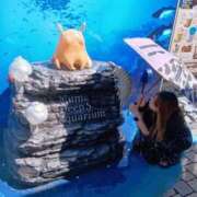 ヒメ日記 2026/08/04 08:04 投稿 綾野ゆゆ アラフォーna奥様 アラフィフna奥様（埼玉ハレ系）