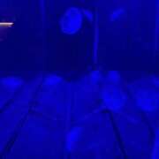 ヒメ日記 2026/02/28 03:16 投稿 もとはし イクイクサークル鶯谷店