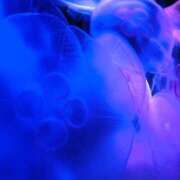 まりん 今日もお休みです😭 ぽっちゃり巨乳素人専門店ぷにめろ西船橋店