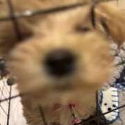 ヒメ日記 2025/12/22 16:16 投稿 ウユ ラブレター