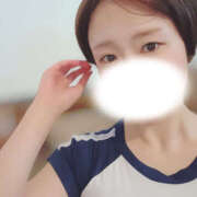 ヒメ日記 2025/12/31 17:24 投稿 なち 折り紙 ORIGAMI