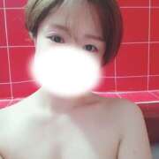 ヒメ日記 2026/01/19 15:12 投稿 なち 折り紙 ORIGAMI