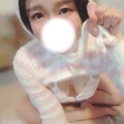 ヒメ日記 2026/02/01 11:48 投稿 なち 折り紙 ORIGAMI