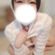 ヒメ日記 2026/02/12 12:03 投稿 なち 折り紙 ORIGAMI