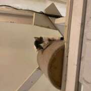 ヒメ日記 2026/02/08 10:36 投稿 しゅな 成田人妻花壇