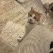 ヒメ日記 2026/03/03 01:39 投稿 しゅな 成田人妻花壇