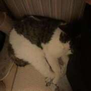 ヒメ日記 2026/03/03 09:06 投稿 しゅな 成田人妻花壇