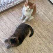 ヒメ日記 2026/03/05 07:21 投稿 しゅな 成田人妻花壇