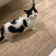 ヒメ日記 2026/03/06 16:02 投稿 しゅな 成田人妻花壇