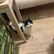 ヒメ日記 2026/04/09 12:37 投稿 しゅな 成田人妻花壇