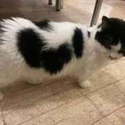 ヒメ日記 2026/04/16 13:20 投稿 しゅな 成田人妻花壇