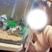 ヒメ日記 2025/12/16 01:34 投稿 鈴原ゆう 手コキ研修塾