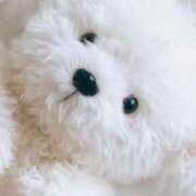 ももか すみません🥲‎🥲‎ sexis小山佐野店