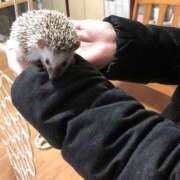 ヒメ日記 2026/01/30 09:01 投稿 そら カワサキ EROTIC