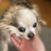 ヒメ日記 2026/02/04 13:00 投稿 そら カワサキ EROTIC