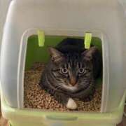 ヒメ日記 2026/02/04 14:00 投稿 そら カワサキ EROTIC