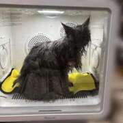 ヒメ日記 2026/02/05 09:01 投稿 そら カワサキ EROTIC