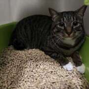 ヒメ日記 2026/02/08 10:02 投稿 そら カワサキ EROTIC