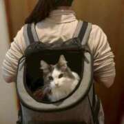 ヒメ日記 2026/02/18 13:01 投稿 そら カワサキ EROTIC