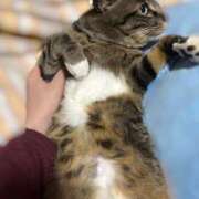 そら 猫のおへそ カワサキ EROTIC