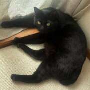 ヒメ日記 2026/03/05 14:30 投稿 そら カワサキ EROTIC